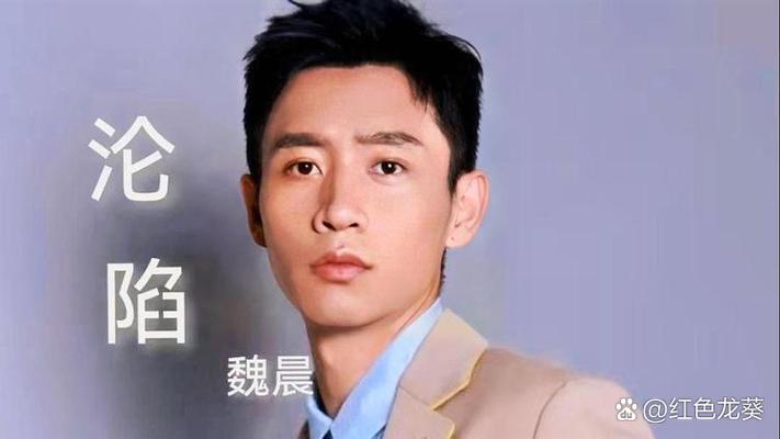魏晨最火的歌