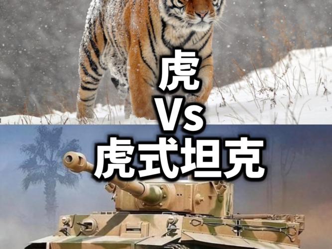 m46猛虎和fv4202比较