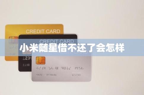 小米随星借怎么借不出来了