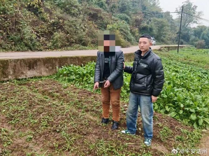 偷菜报警警察会处理吗