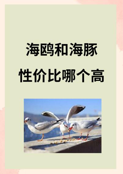可爱目录海岸线