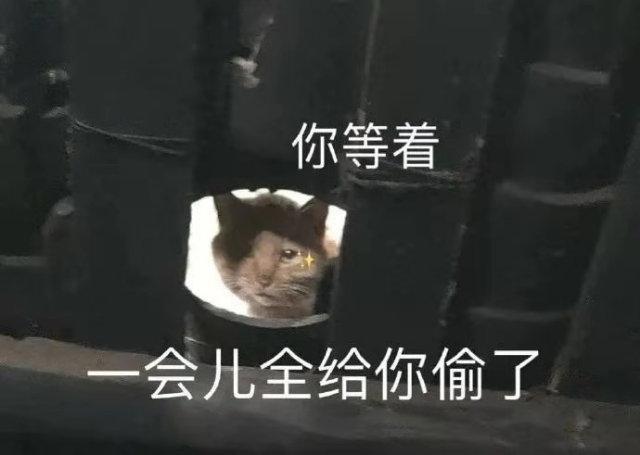 偷你表情包