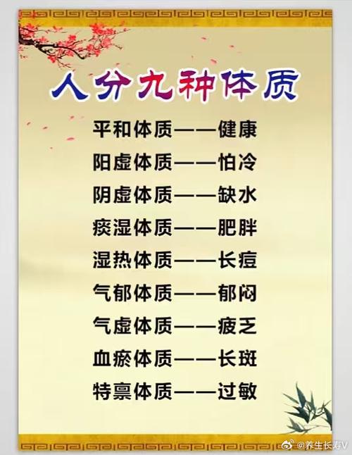 人有几大体质