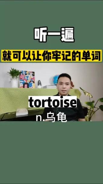乌龟英语翻译