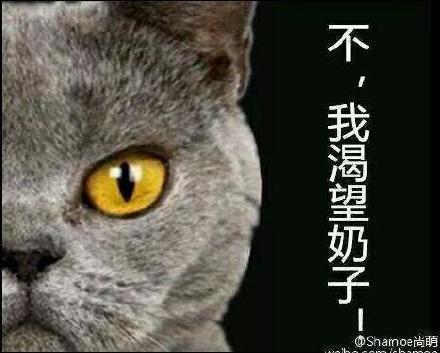 my real desire攻略
