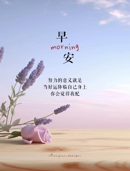 每日正能量励志心语