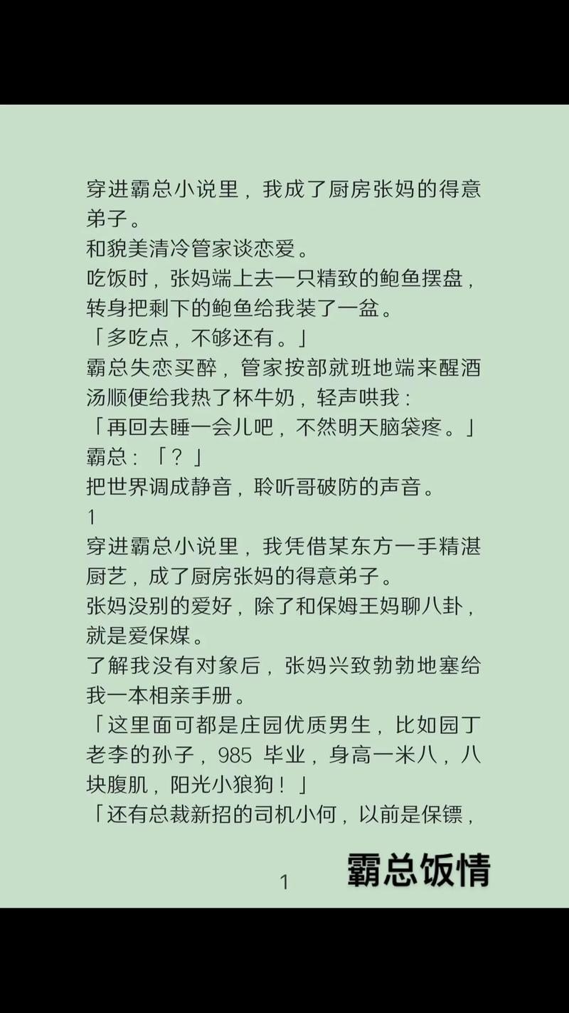 饭饭小说改名叫什么了