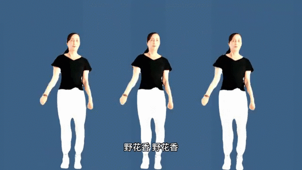 野花香活力健身