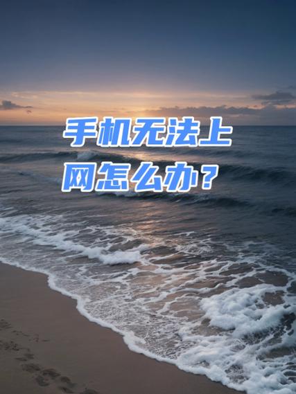 手机被限制上网如何破解