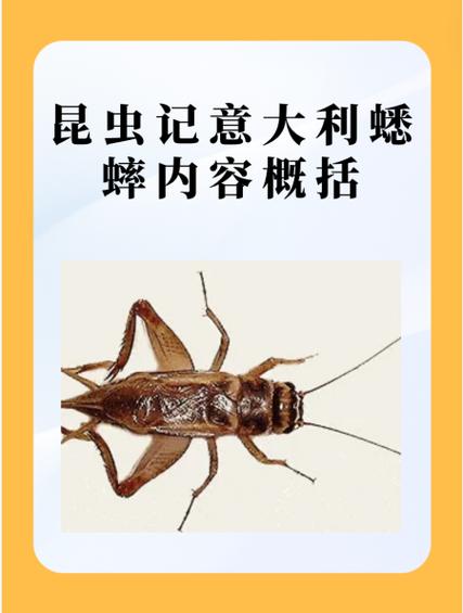 蟋蟀活多久到什么季节