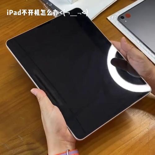 ipad连充电器以后黑屏了