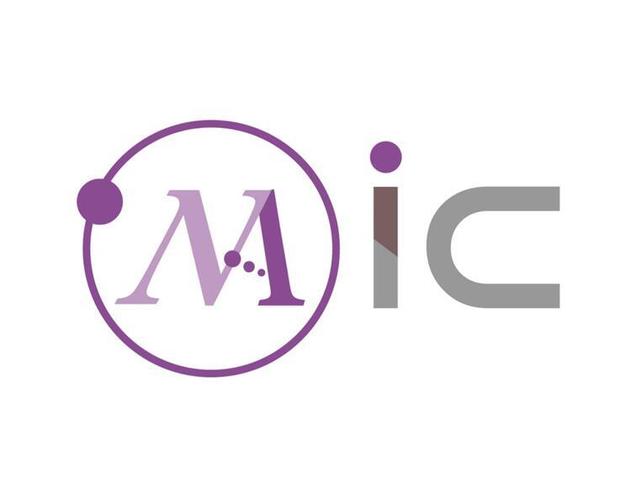 mic公司