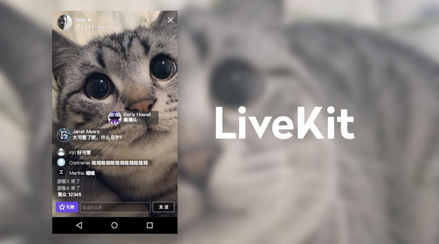 美国福利直播live