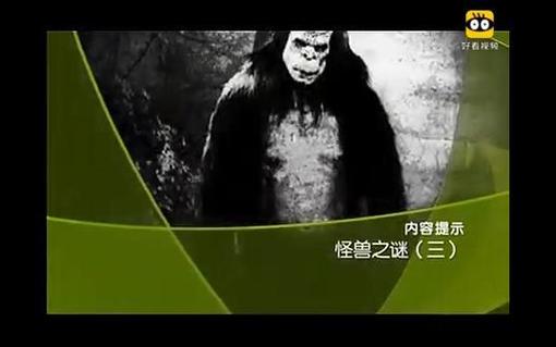 世界上有没有怪兽的存在