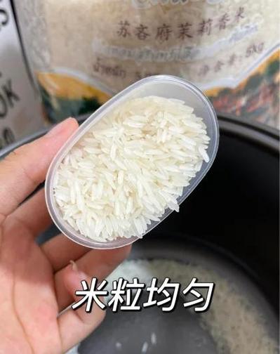 米饭煮不熟怎么挽救