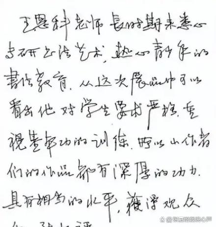 徐静蕾硬笔书法多厉害截图