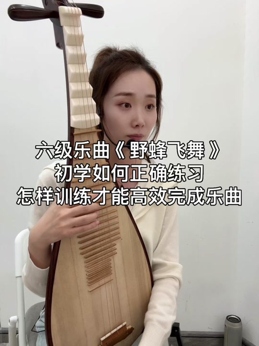 琵琶独奏野蜂飞舞缩略图