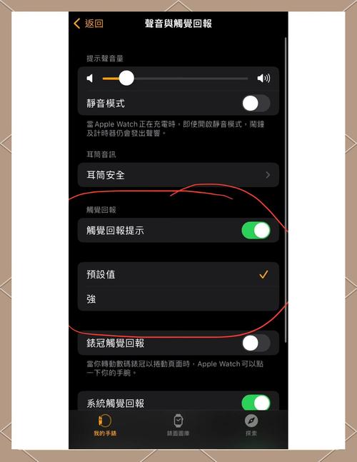 苹果手表振动设置在哪里设置