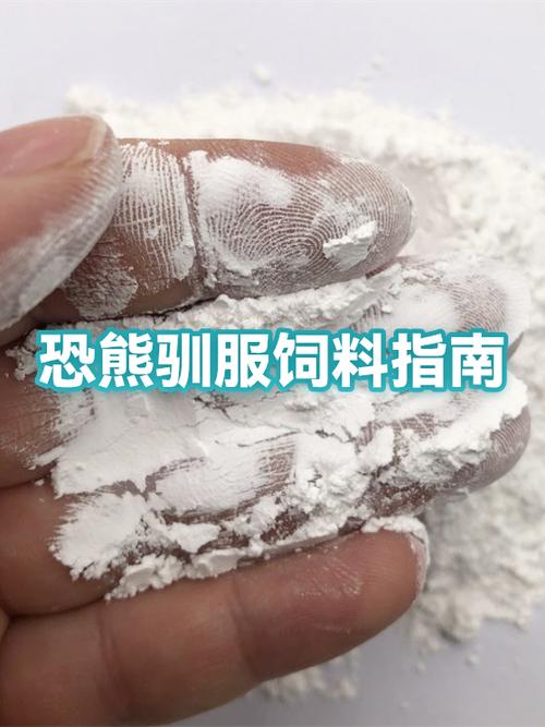 恐熊怎么驯服