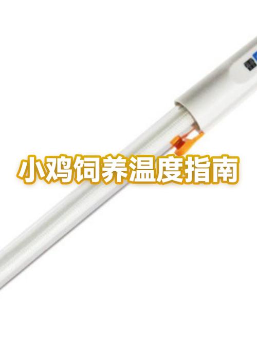 小鸡落水后怎么处理