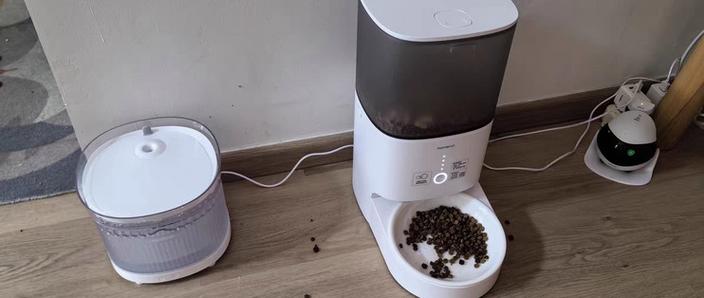 猫自动喂食器利弊