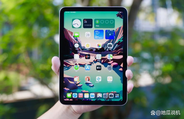 内行人建议买mini还是ipad