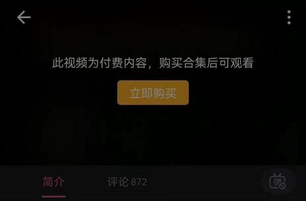 b站包月能看付费视频吗