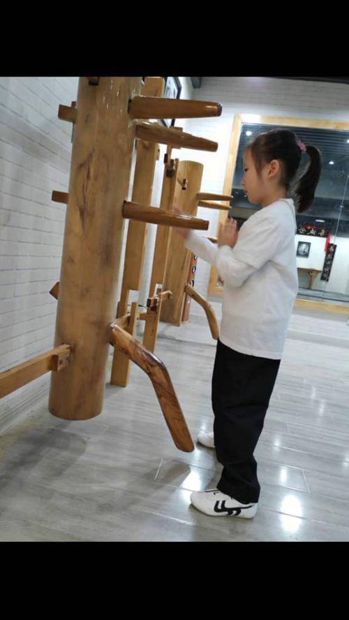 儿童功夫拳
