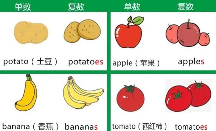 possession可数还是不可数