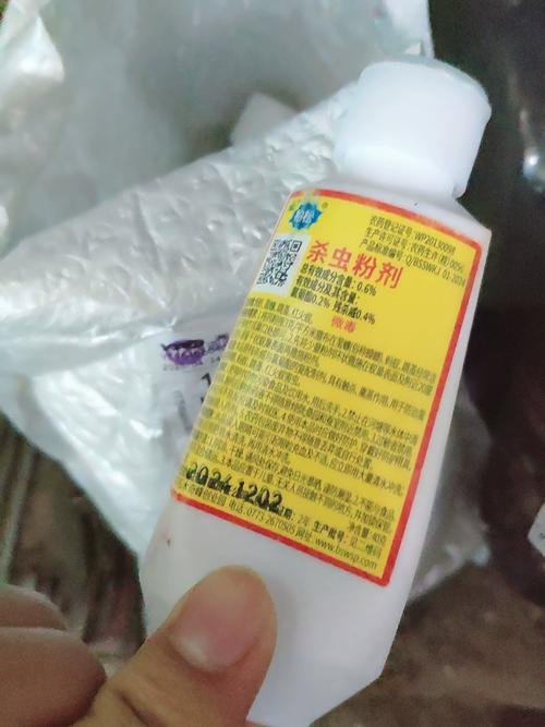 杀粉蠹虫用什么药