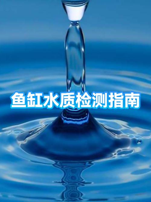 检测鱼缸水质简单方法图标