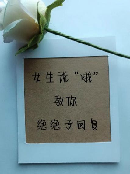 女生说丢了怎么回答游戏截图