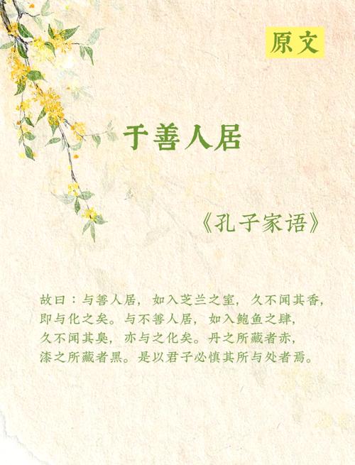 善客待之的客解释