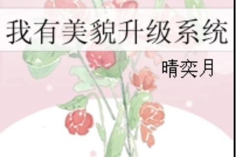 美貌升级系统