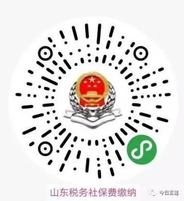 山东税务社保缴费小程序下载缩略图