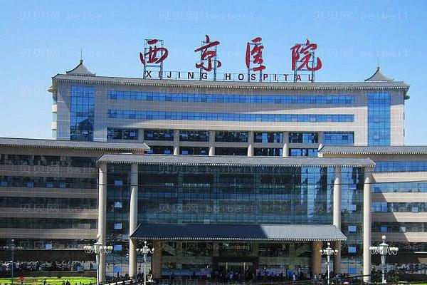 西京口腔科医院游戏截图