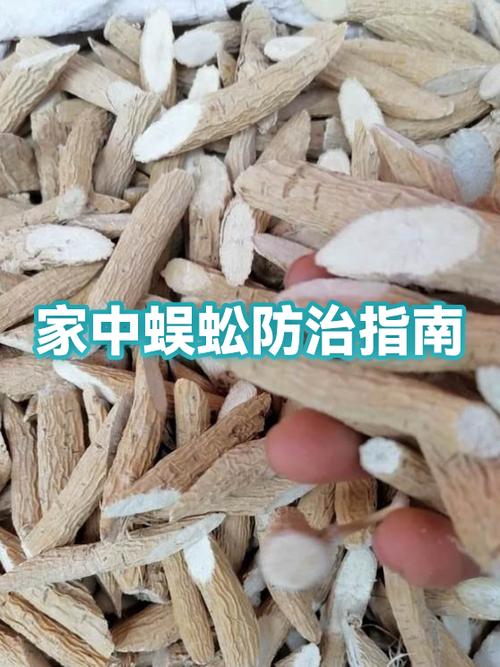 发现床上有蜈蚣怎么办