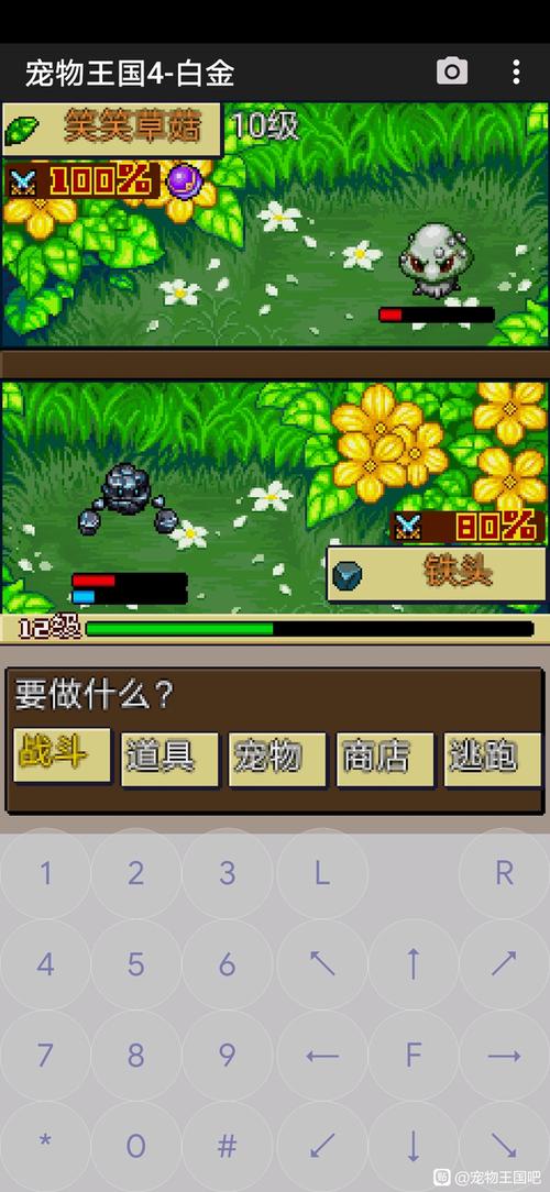宠物王国单机版攻略流程