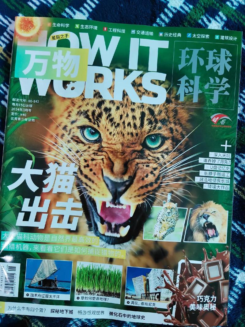 综我英万物听令txt