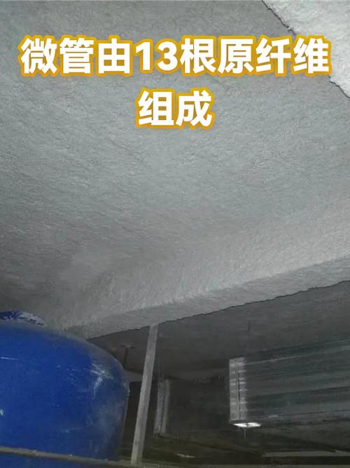 微管是如何组装的