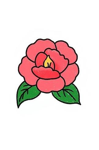 山茶花的特点