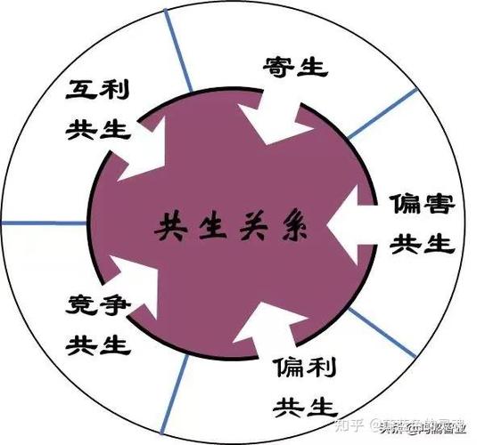 恋人关系超过6级就不解绑了吗图标