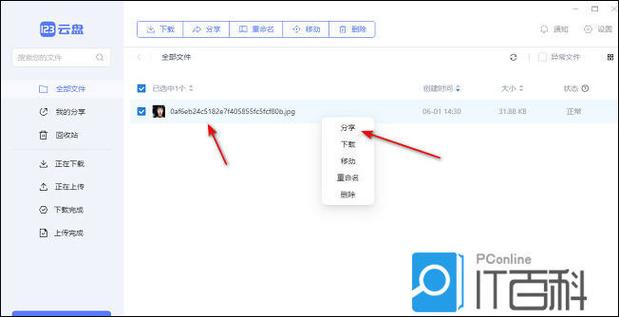 网盘下载的文件怎么分享