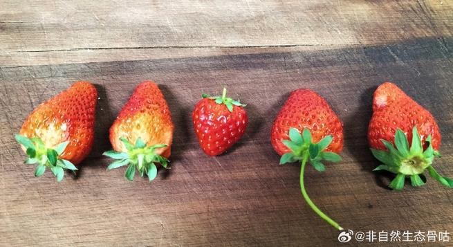 草莓和什么比较大小