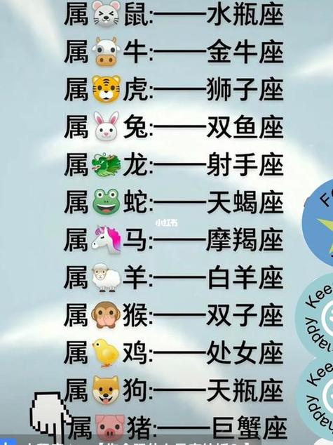 十二星座专属动物