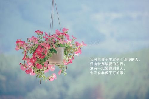 qq说说大全带图片