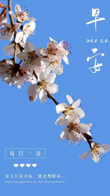 喜欢樱花的女孩的性格