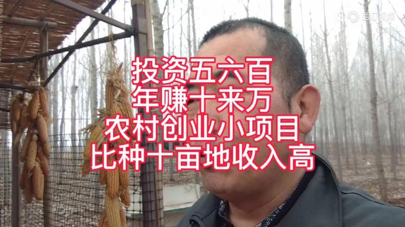 最新致富小项目