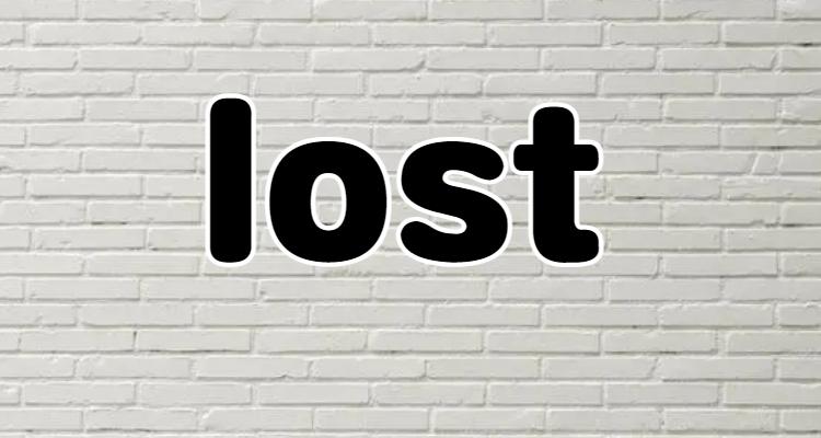 lost最后一张图
