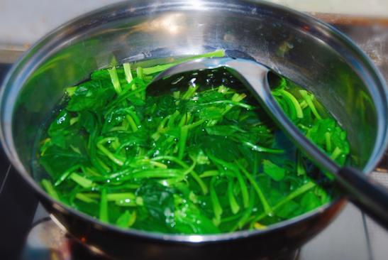 赌博为什么叫菠菜截图